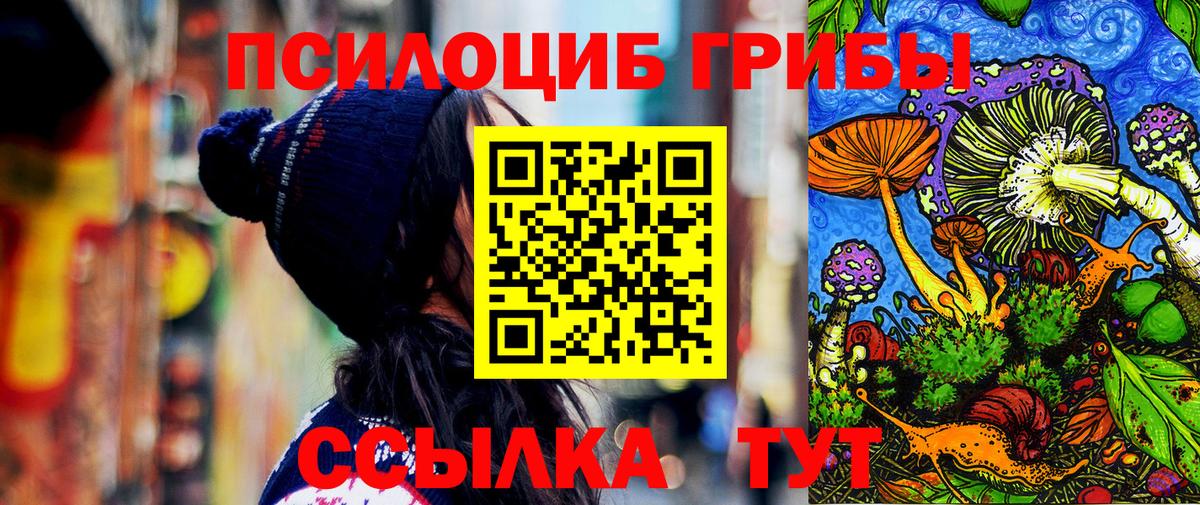 Псилоцибиновые грибы Psilocybine cubensis Орск