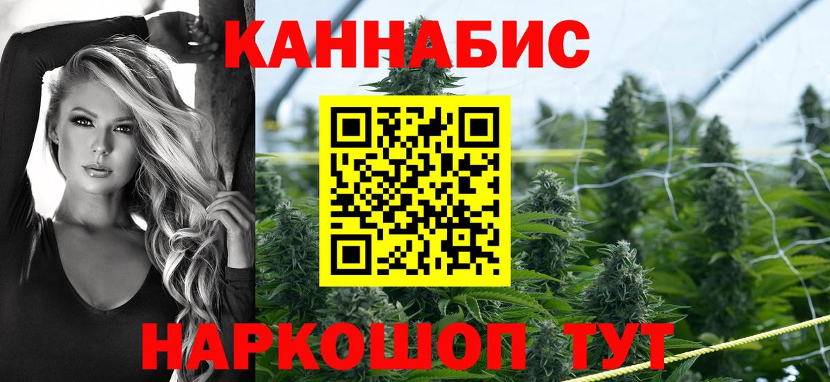 Бошки марихуана сатива  Вход с VPN  Каннабис индика  Орск 